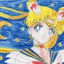 Sailor Moon (Bunny/Usagi Tsukino)