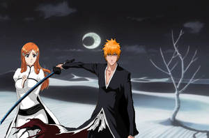 I will protect you, Orihime