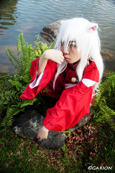 Inuyasha - Osuwari