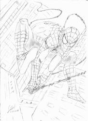 -SpiDeR-MaN-