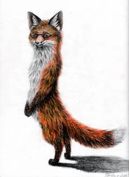 Imma Fox Standing!