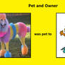 Colourful Poodle Pet to Little Miss Fabolous