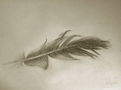 Feather