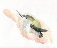 A Bird in the Hand