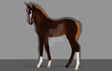 Foal I for sale