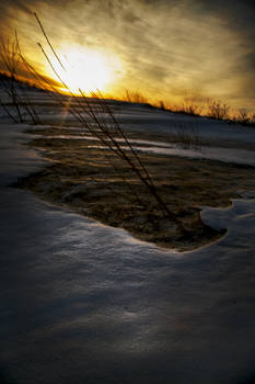 Snow Sunset