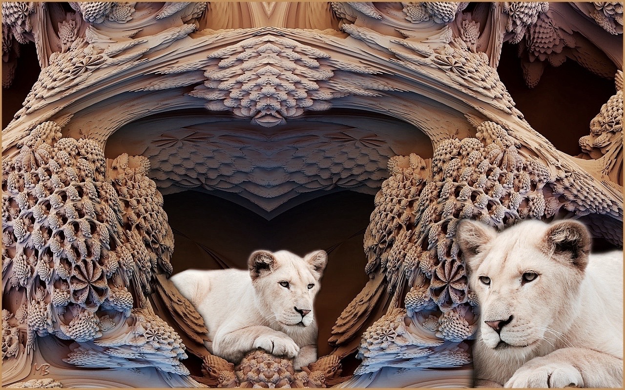 White Lions