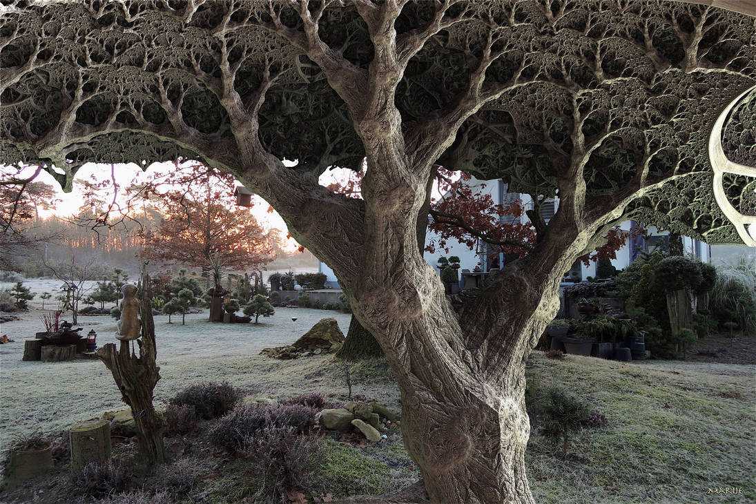 I spotted a fractal tree in my garden at sunrise by marijeberting