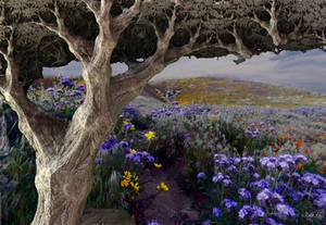 Oak tree on flower field