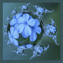 Blue Flowers for Gigi