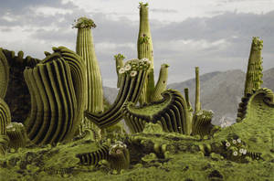 Flowering Saguaro in the Sonoran Desert in Arizona