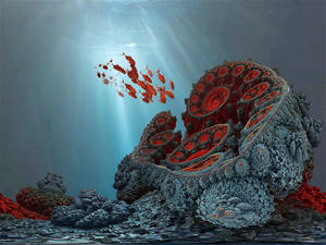 Coral Reef by marijeberting Coral Reef by marijeberting