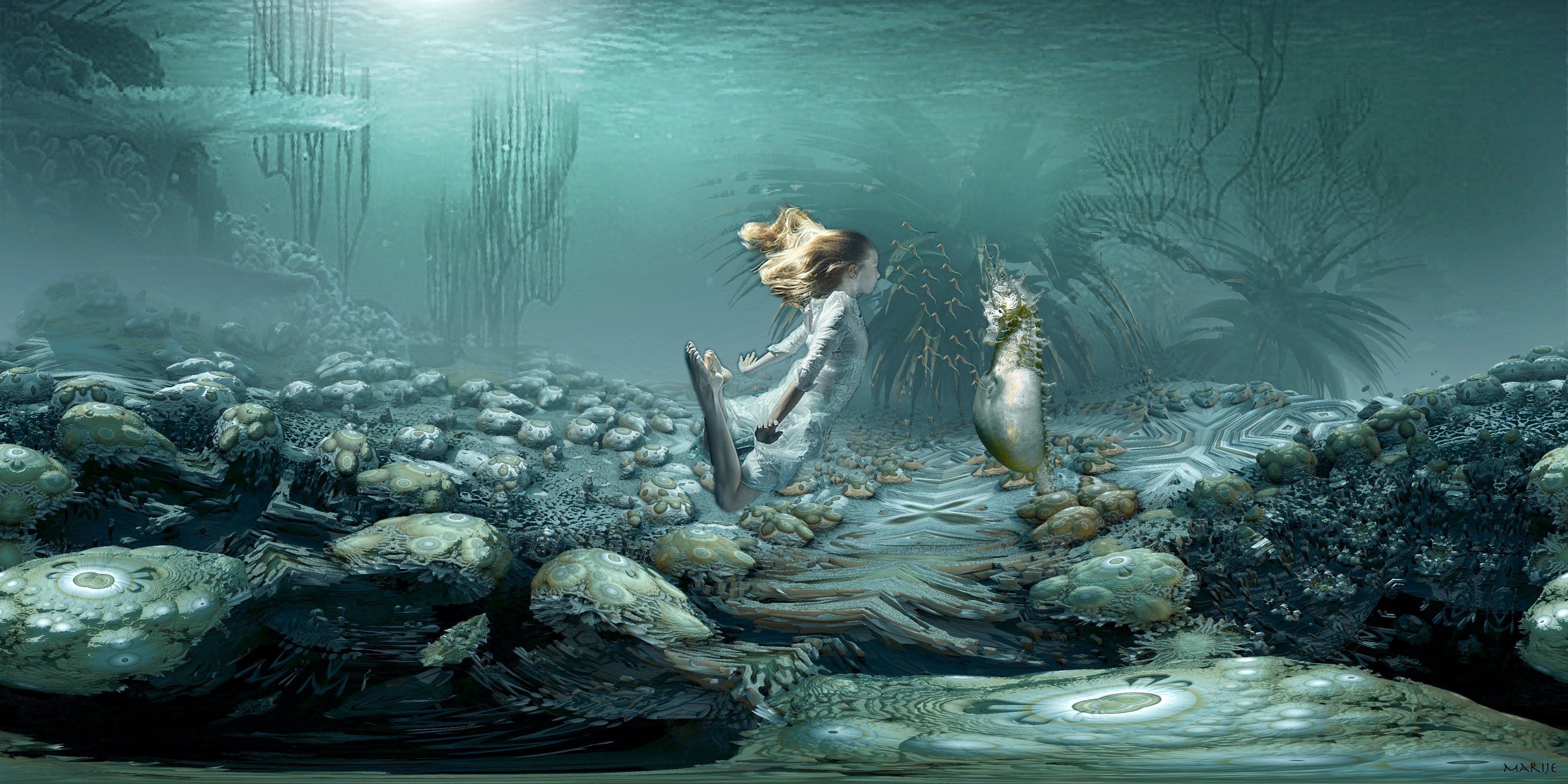 Male seahorse giving birth ... (see amazing video)