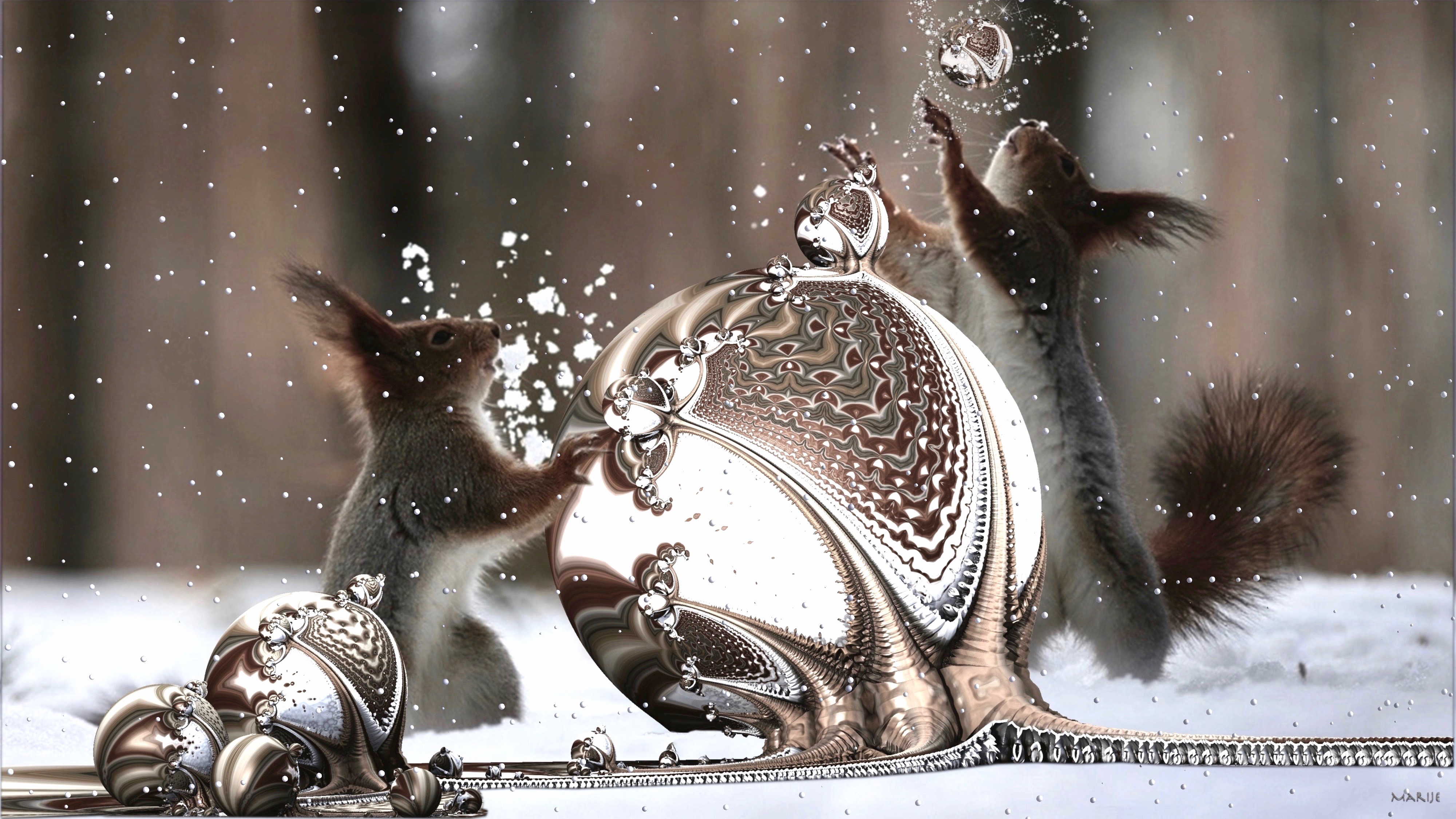 Squirrels playing in the snow