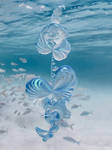 Big Jellyfish by marijeberting