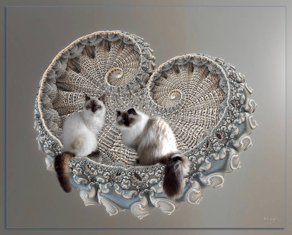 Cohabitation by marijeberting Cohabitation by marijeberting