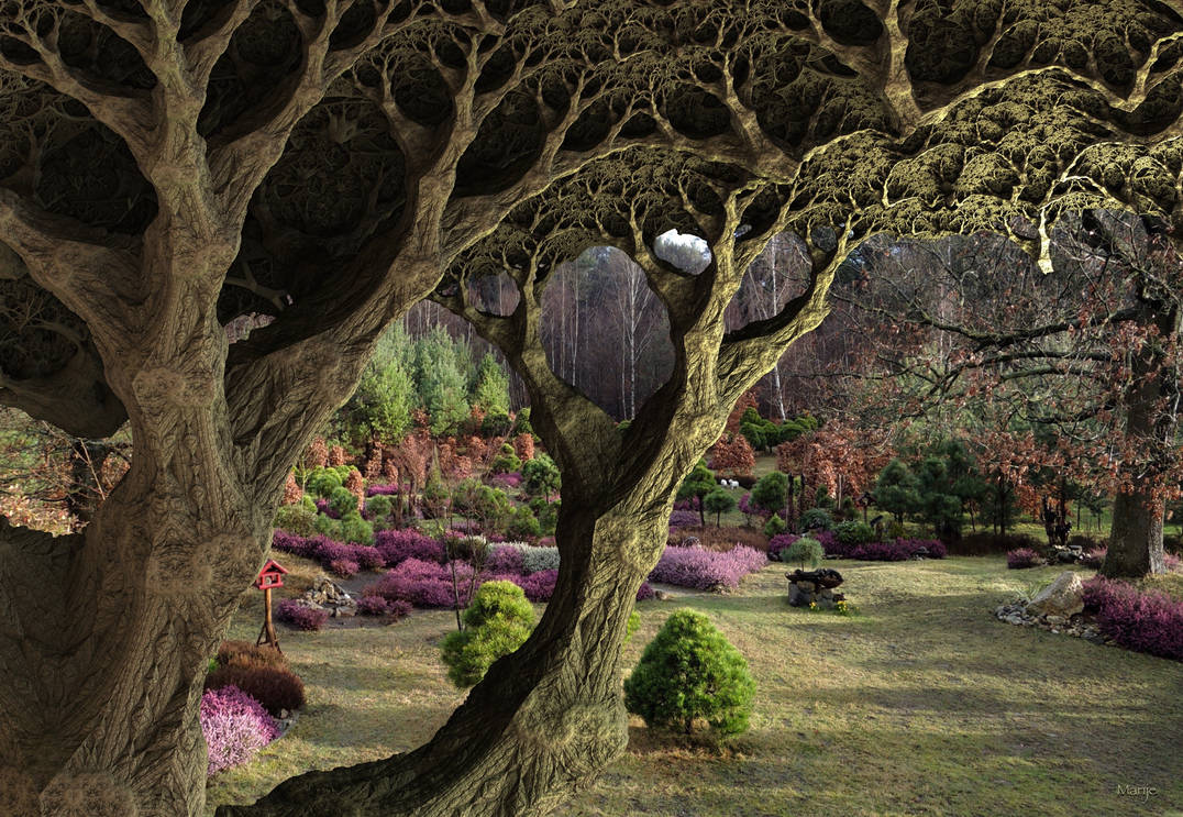 My winter heather garden with fractal oak ... by marijeberting My winter heather garden with fractal oak ... by marijeberting