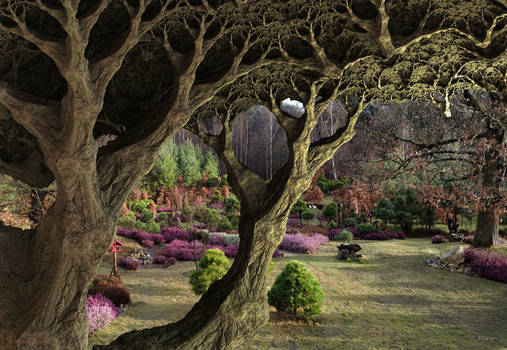 My winter heather garden with fractal oak ...