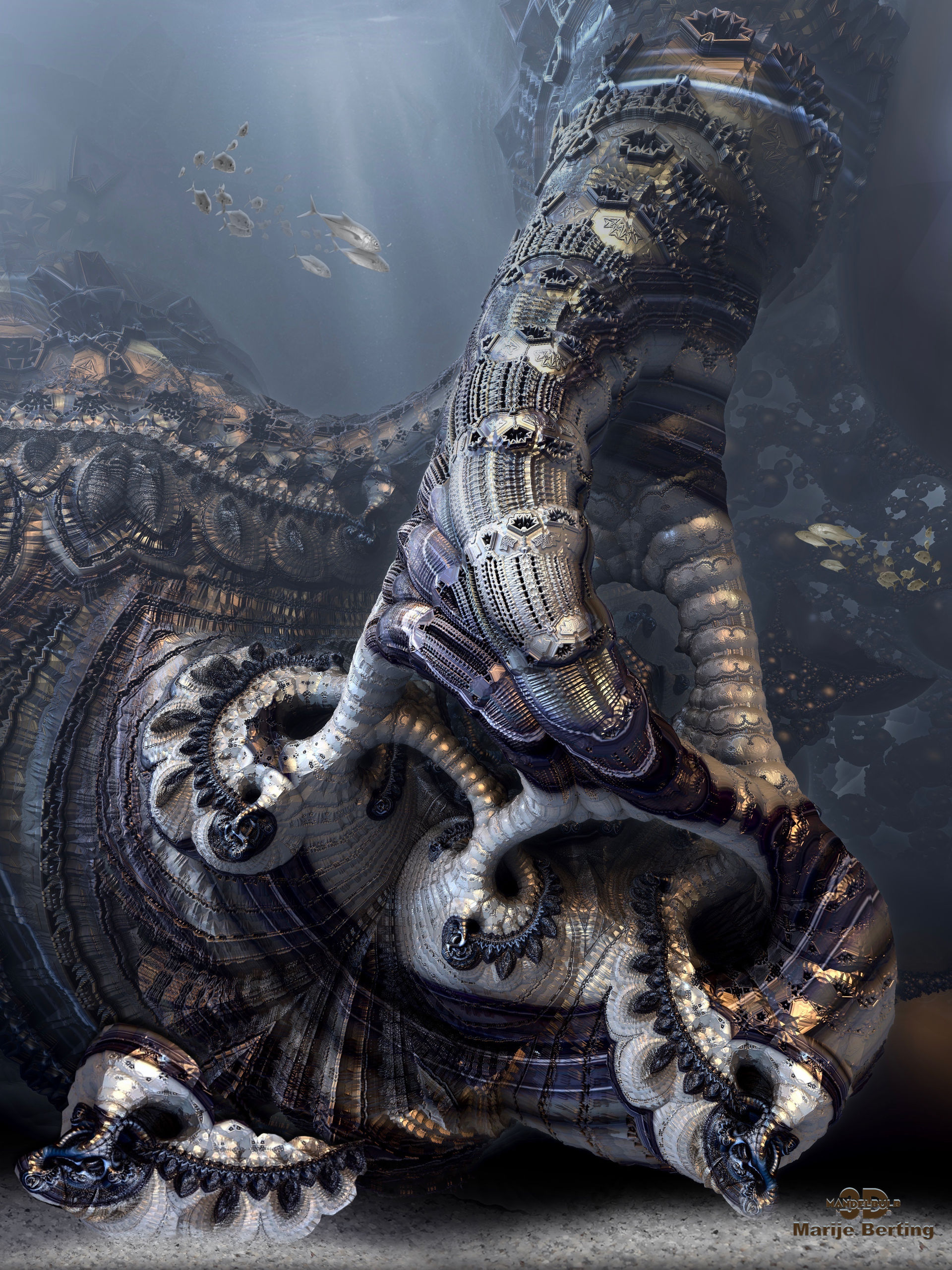 Conch Shells ... by marijeberting on DeviantArt