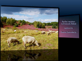Featured Exposition Chantal Couwenbergs
