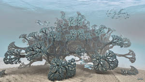 Coral Reef ...
