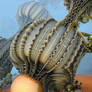 Large papery husk and fruit from the Physalis ...