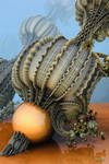 Large papery husk and fruit from the Physalis ... by marijeberting