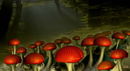 Mushroom Forest ... by marijeberting