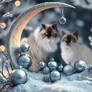 My cats Lizzy and Luna adore Christmas Baubles ...