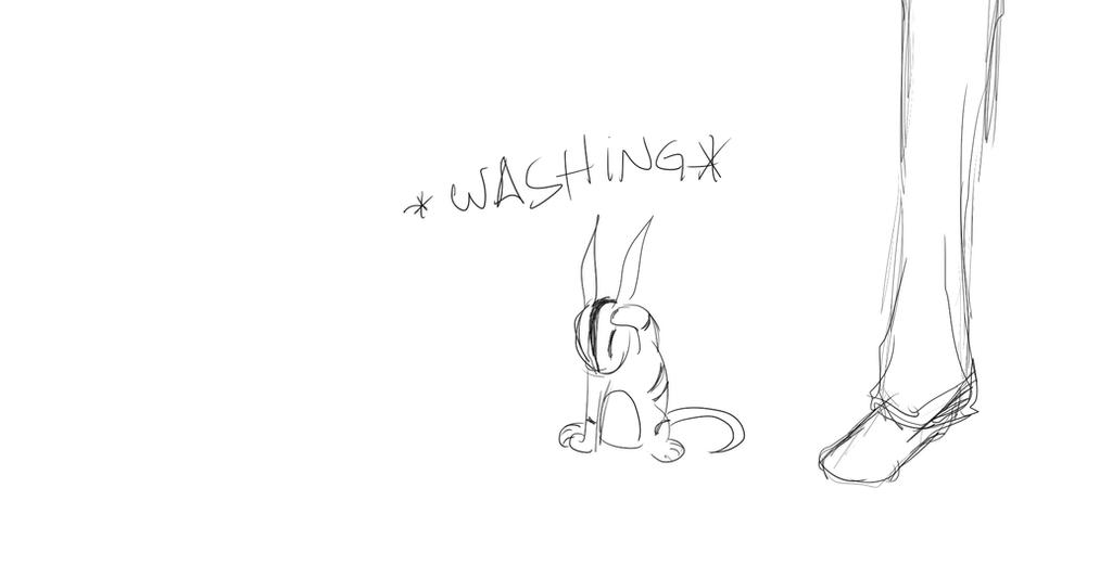 Deviantart Wash Wash Wash Wash by Joey-Space on DeviantArt