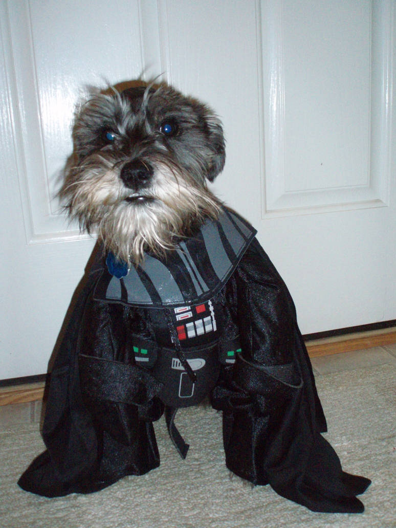 Darth Dog by LostRain13 on DeviantArt