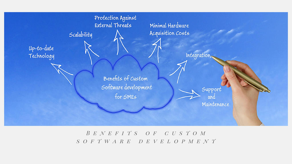 Benefits of custom software development by Davidkaminsky on DeviantArt