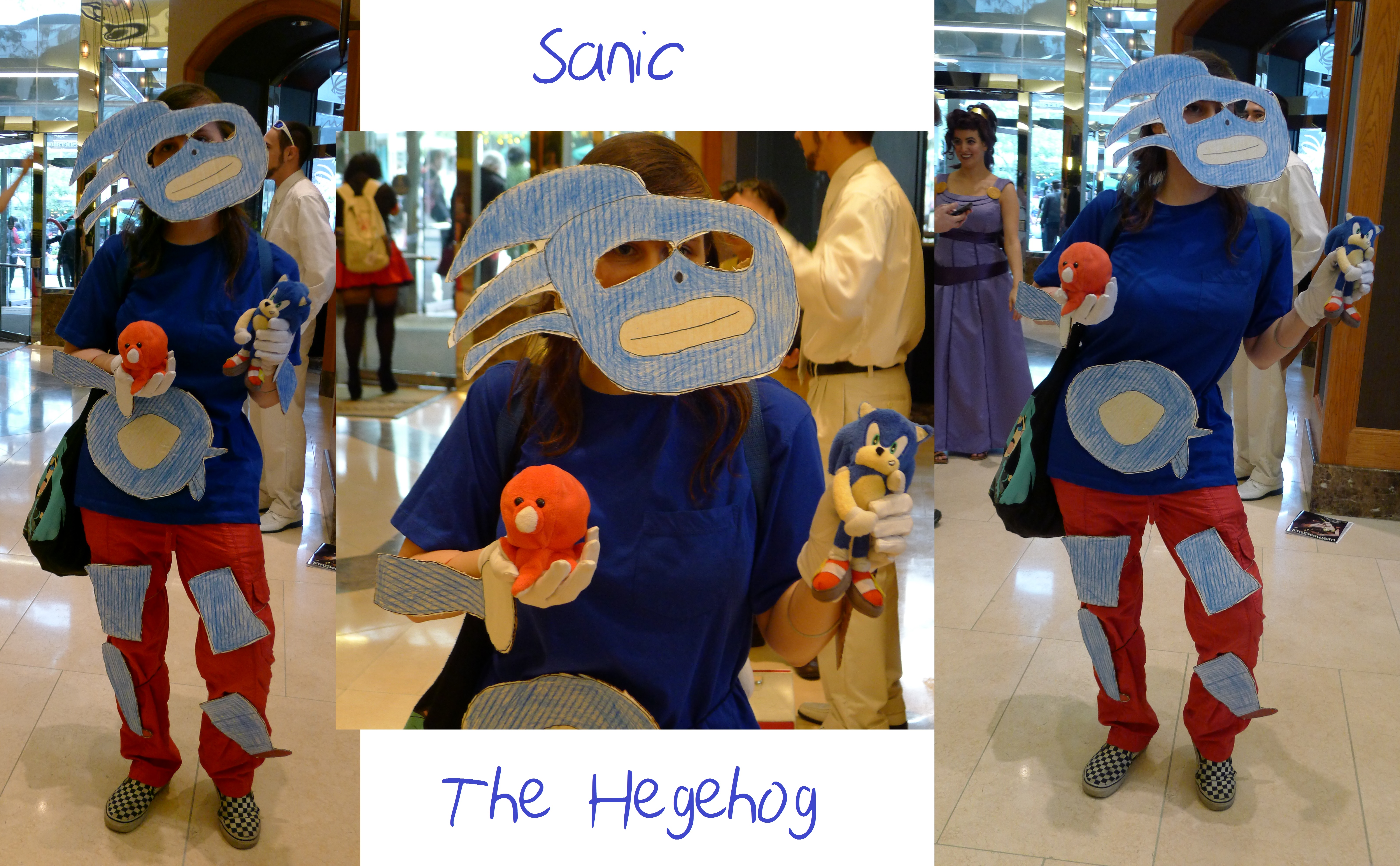 My Sanic The Hegehog Cosplay