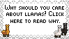 Why Llamas? Stamp