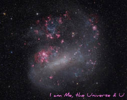 Universe and U