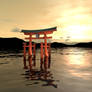 Torii