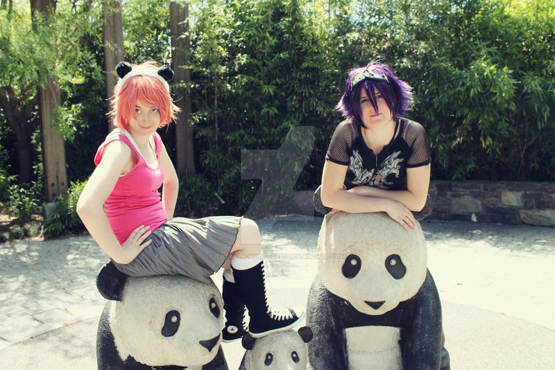 Panda friends