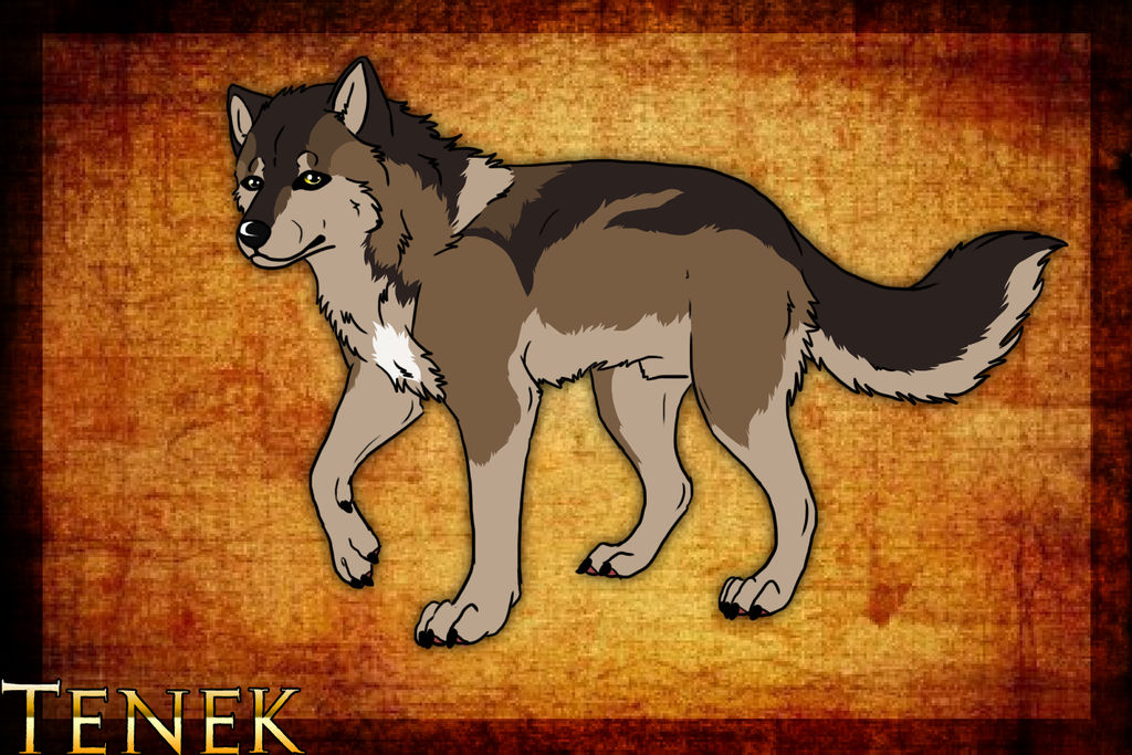 Tenuk Vector Tenek profile by Chylk on DeviantArt