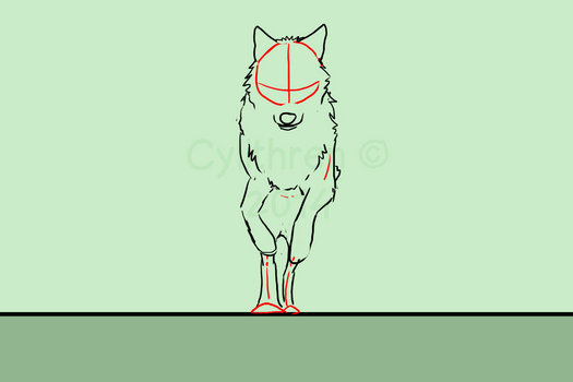 Wolf Animation - Front Run Cycle