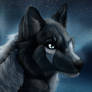 [CM] Black Wolf