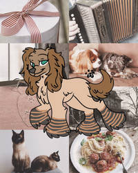lady and the tramp moodboard adopt 10 point CLOSED