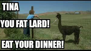 Napoleon Dynamite Meme 4 By Sendthemtothechair On Deviantart