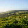 Point Reyes National Seashore - Pierce Point Ranch