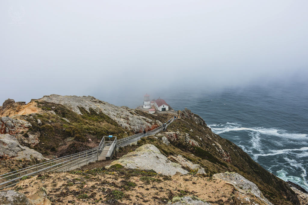 Point Reyes Station Library Point Reyes Light Station by LittleWyrdOwl on DeviantArt