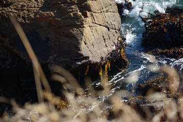 A Peek Over the Cliff