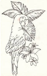 Parrot Tattoo Design (Stencil)