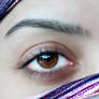 Arabian Eye