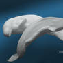 Beluga Whale II