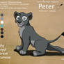 Peter Ref Sheet