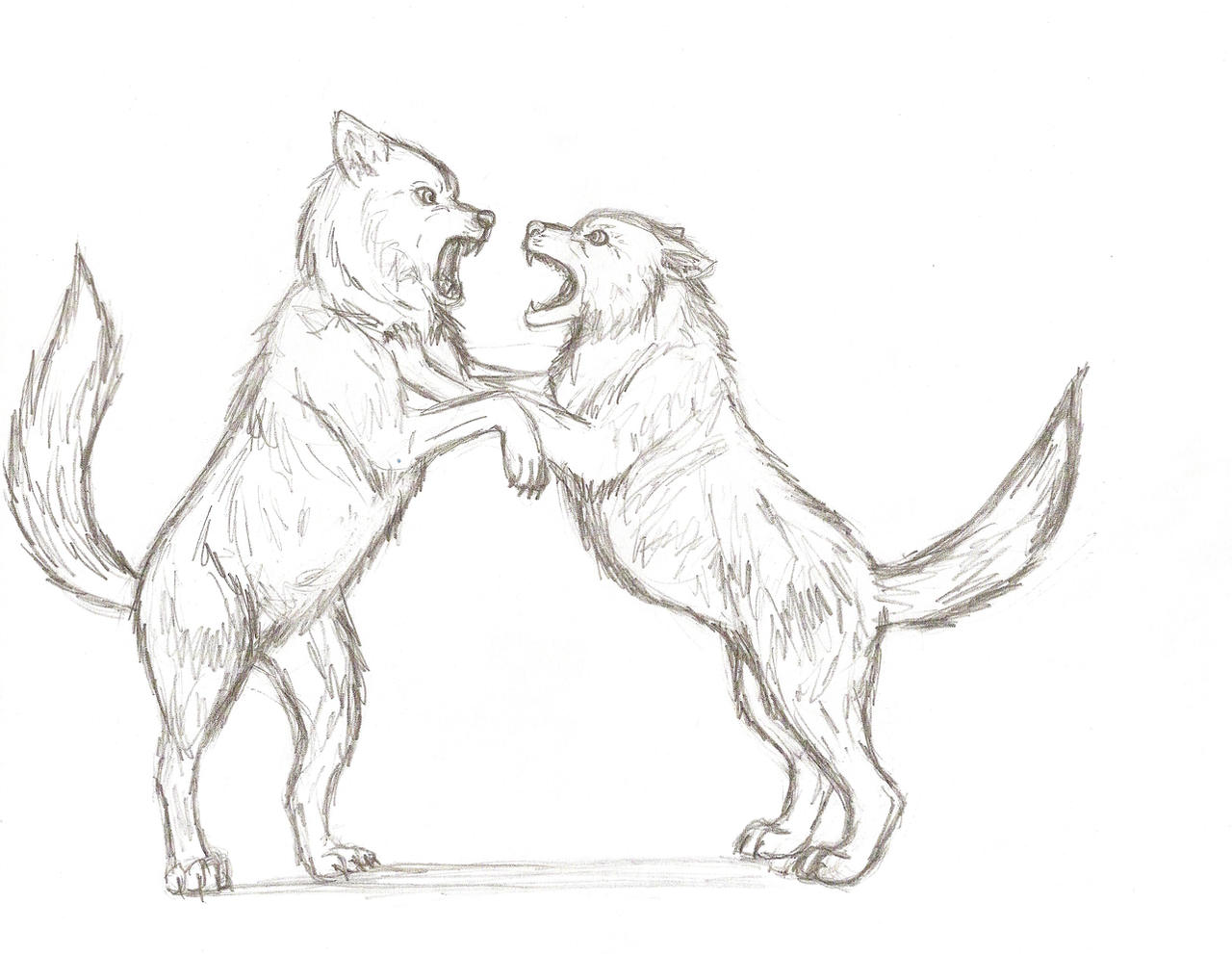 Two Wolves Drawing Base Fighting Wolves - Points Commish sketch by Nala15 on DeviantArt